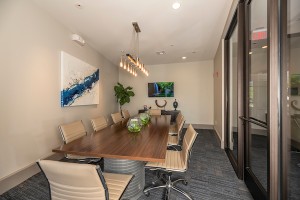 Two Bedroom Apartment Rental in Houston's Energy Corridor             